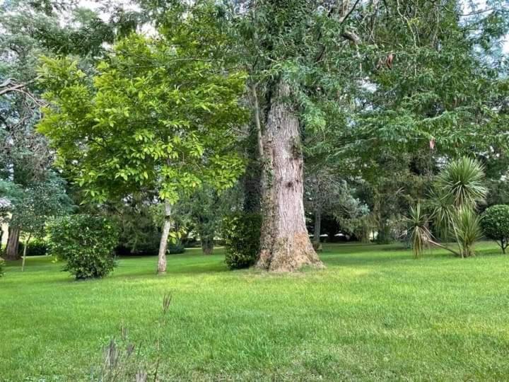 Les Demeures De La Laigne Bed & Breakfast Allas-Bocage Екстериор снимка