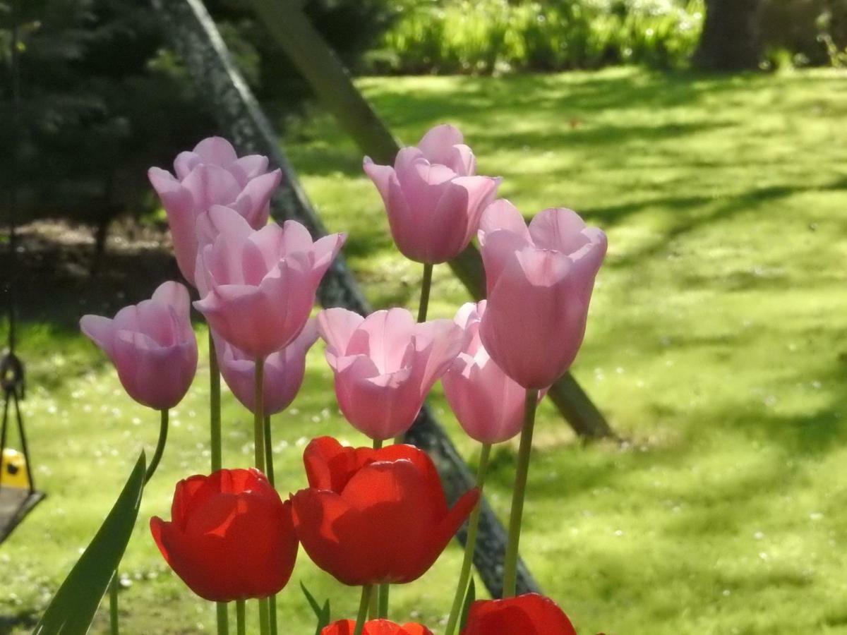 Les Demeures De La Laigne Bed & Breakfast Allas-Bocage Екстериор снимка