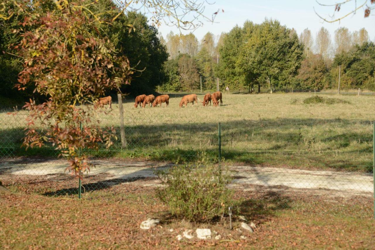 Les Demeures De La Laigne Bed & Breakfast Allas-Bocage Екстериор снимка